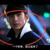 摇头摆尾是什么生肖